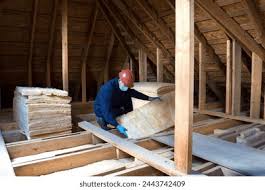 Best Insulation Removal  in Morrisville, PA